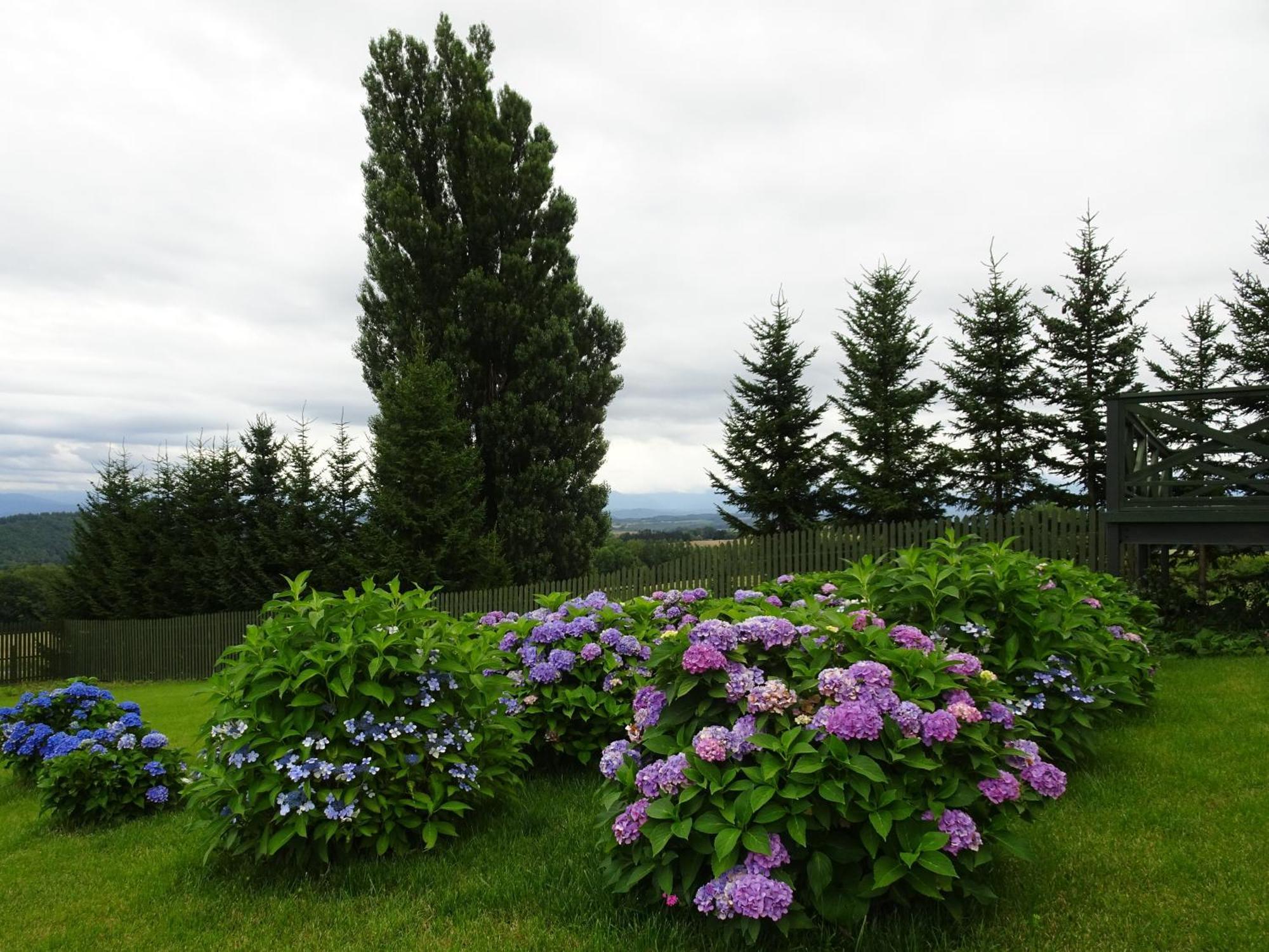 Ken&mary Country house *