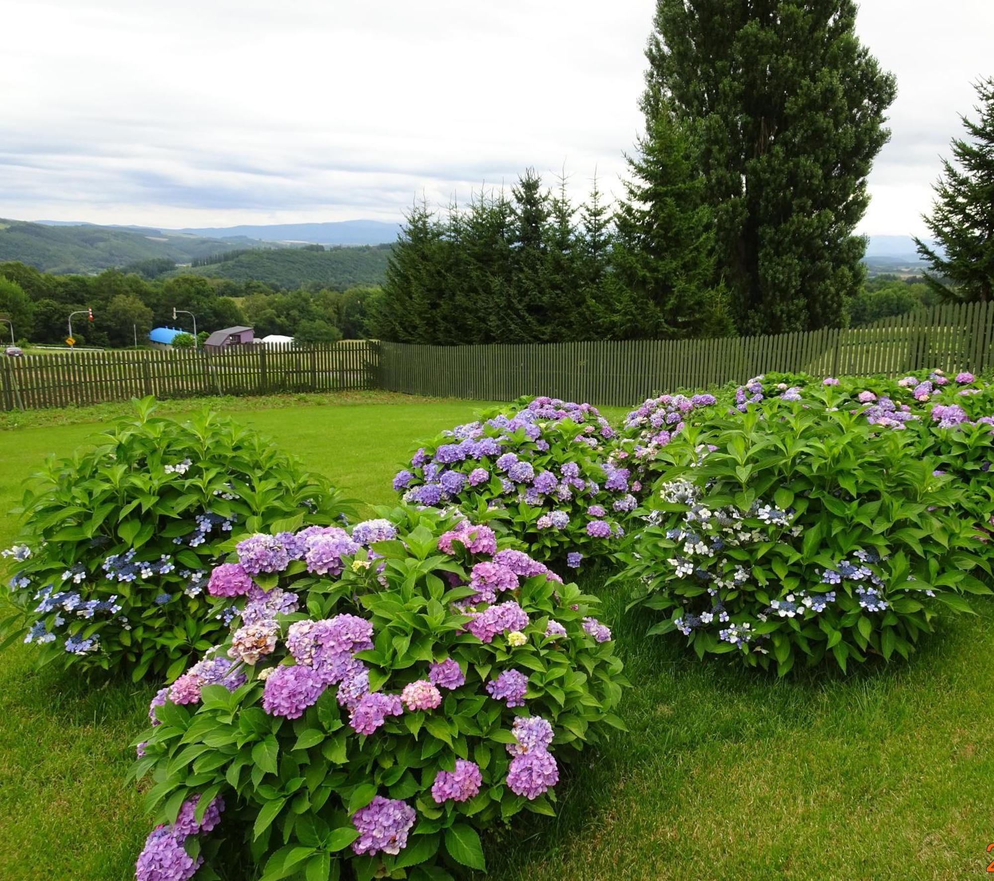 Country house Ken&mary Biei